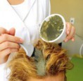 /album/galeria-de-fotos%3a-terapias-servi%c3%a7os-argiloterapia/tratamento-capilar-com-argila-1-jpg/